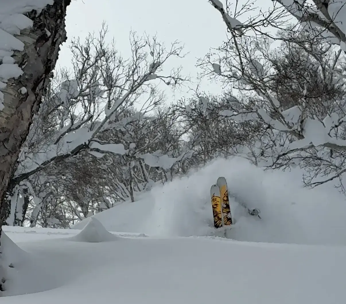 Powder skiing action