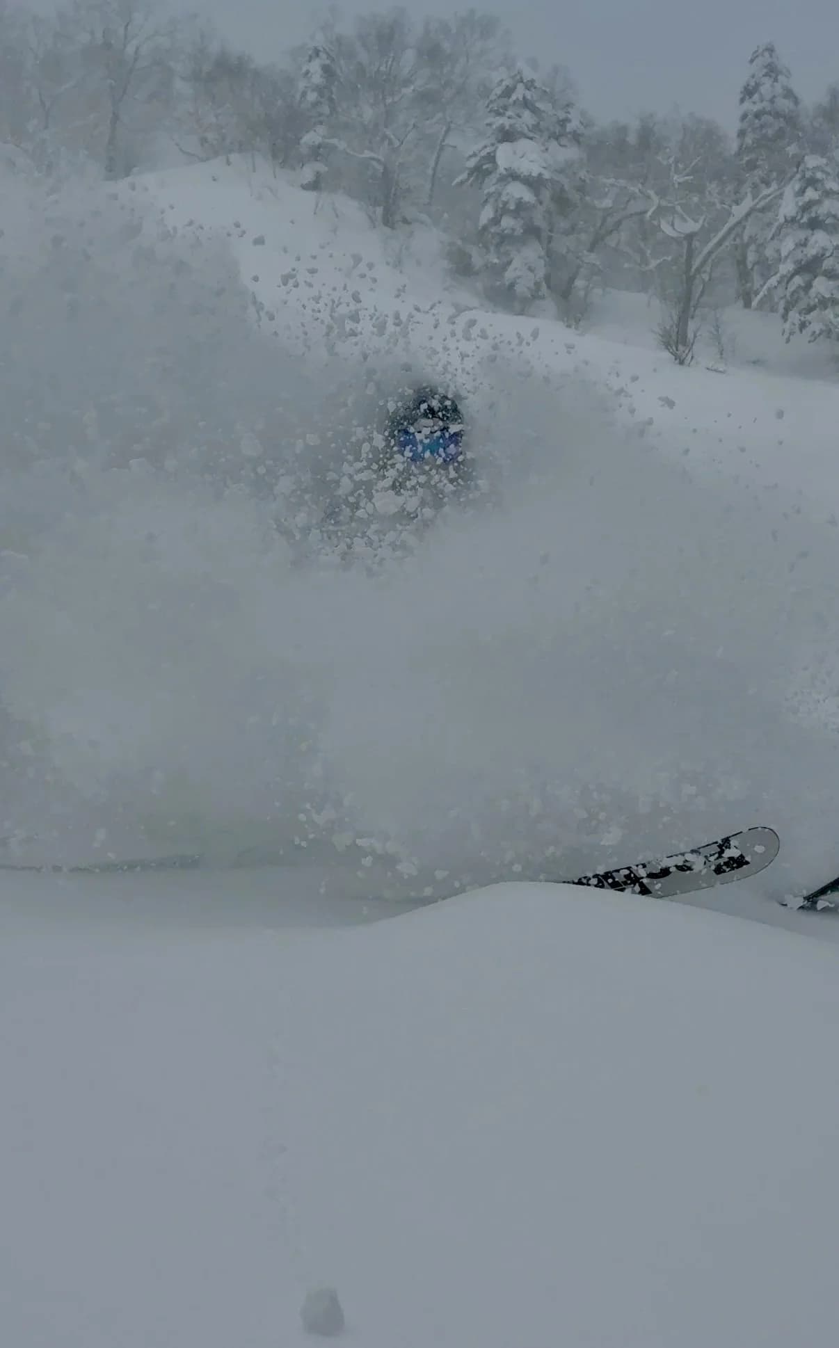 Faction Royales in deep powder snow