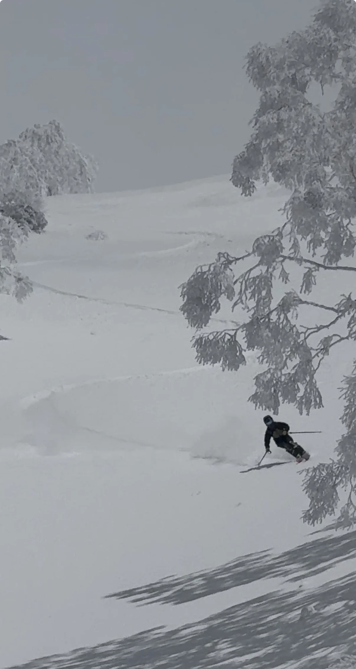 late season powder turn at Asahidake