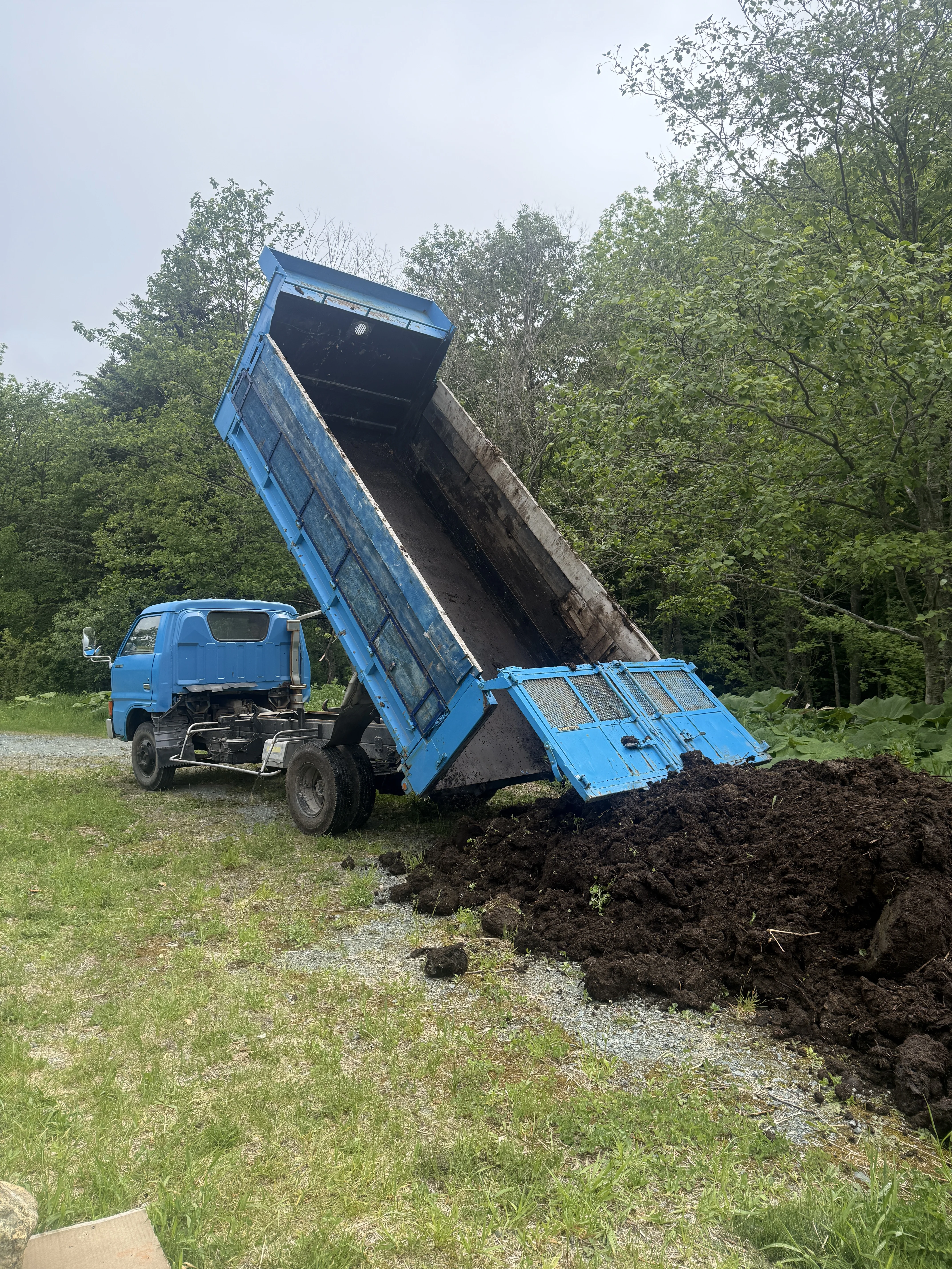 dump truck unloading composted manure in the yard